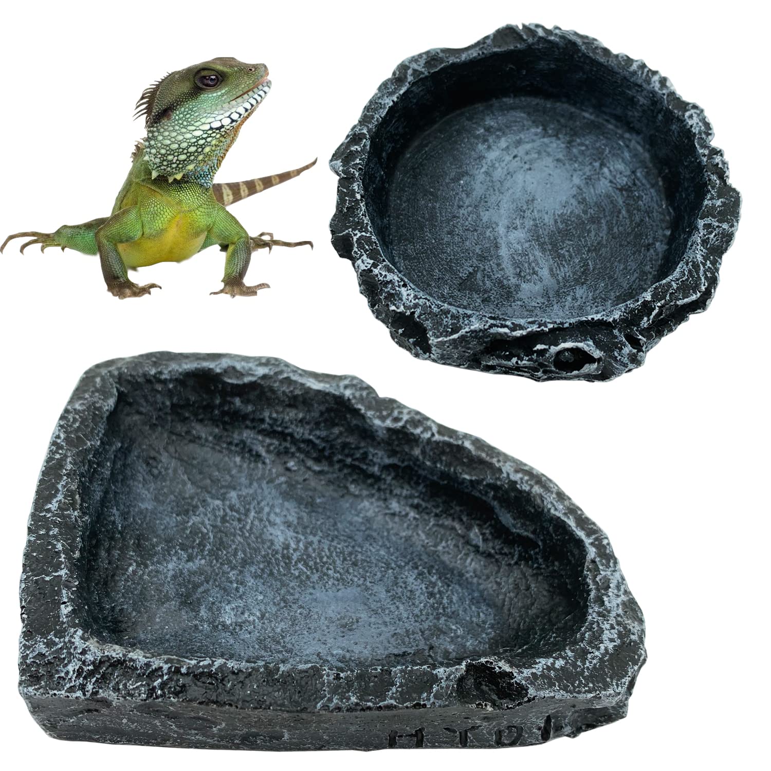 Water Dish Reptile - 1/2팩 파충류 먹이 그릇 코너형, 파충류