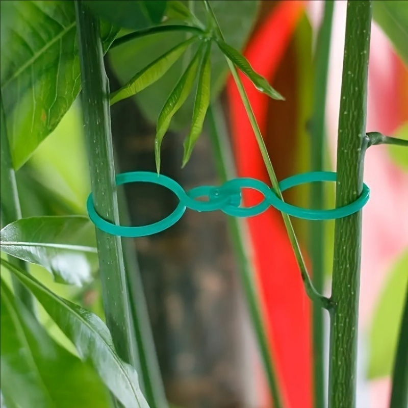 125개 정원 식물 지지대 키트, 덩굴 클립, 꼬임 결 - Vine Climbing Plastic 리뷰 및 가격