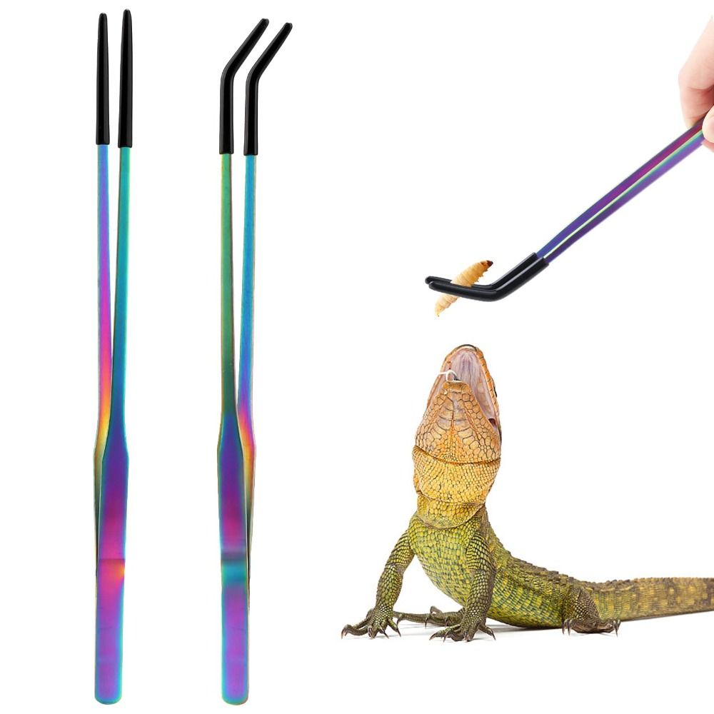 2PCS 스테인레스 스틸 파충류 먹이 집게 고무 팁이  - Feeding Tong Stainless 리뷰 및 가격