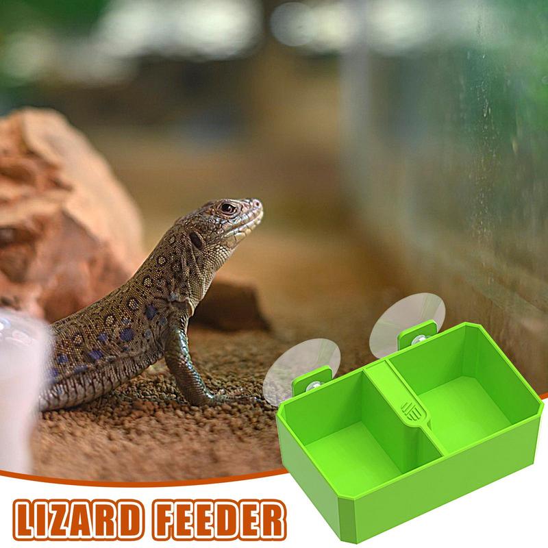 카멜레온 먹이 그릇 물 접시, 2 그리드 파충류 먹이  - Water Dish Reptile 리뷰 및 가격