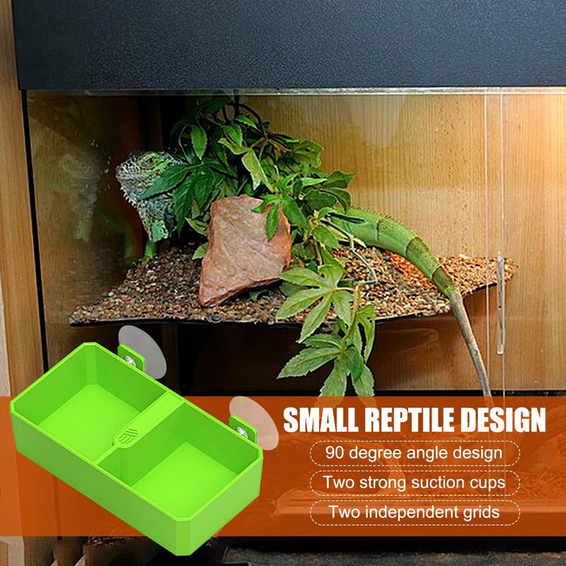 카멜레온 먹이 그릇 물 접시, 2 그리드 파충류 먹이  - Water Dish Reptile 리뷰 및 가격