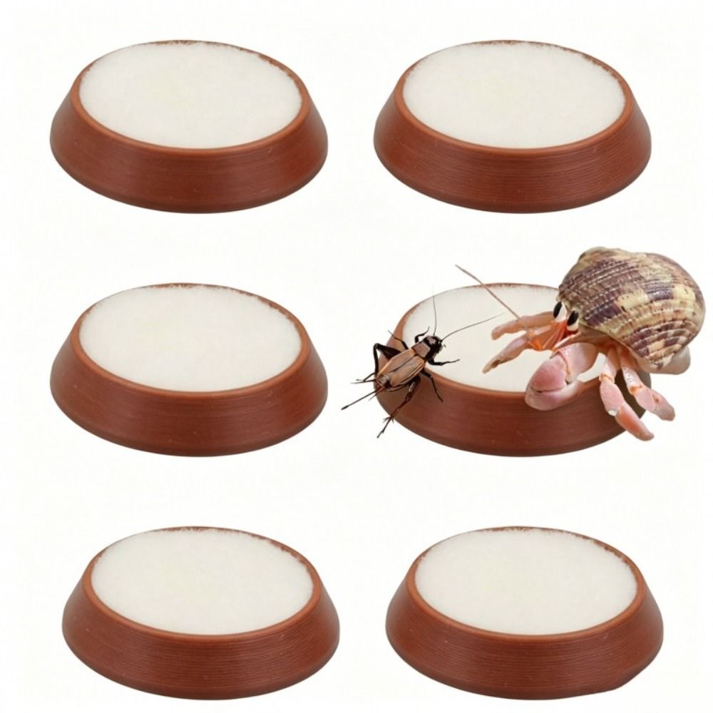 6pcs 휴대용 재사용 가능한 파충류 먹이 접시 미니  - Water Dish Reptile 리뷰 및 가격