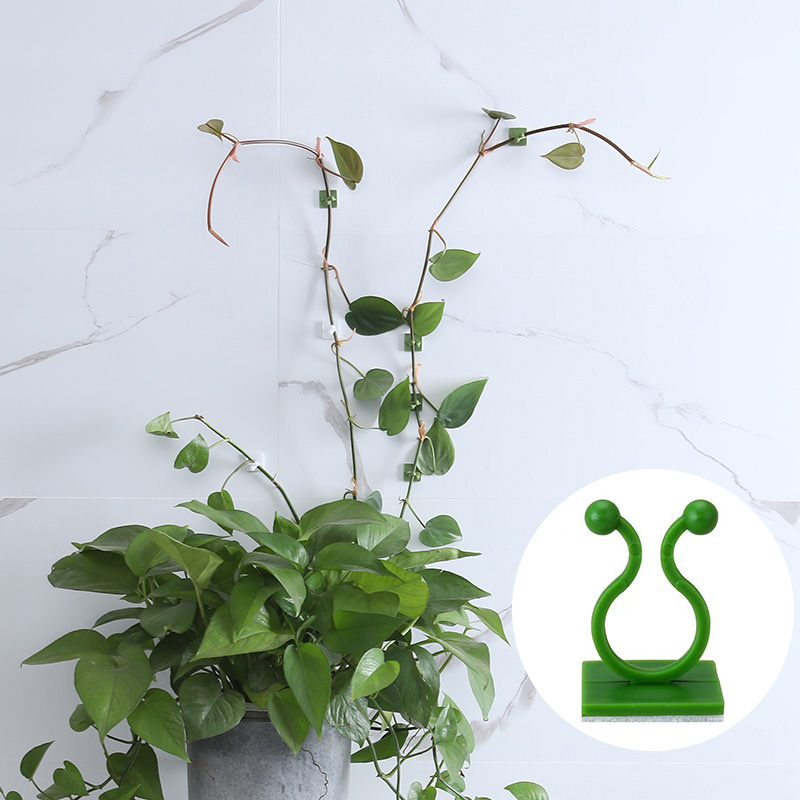 100pcs-홈 가든 식물 클라이밍 벽 고정 클립 등나 - Vine Climbing Plastic 리뷰 및 가격