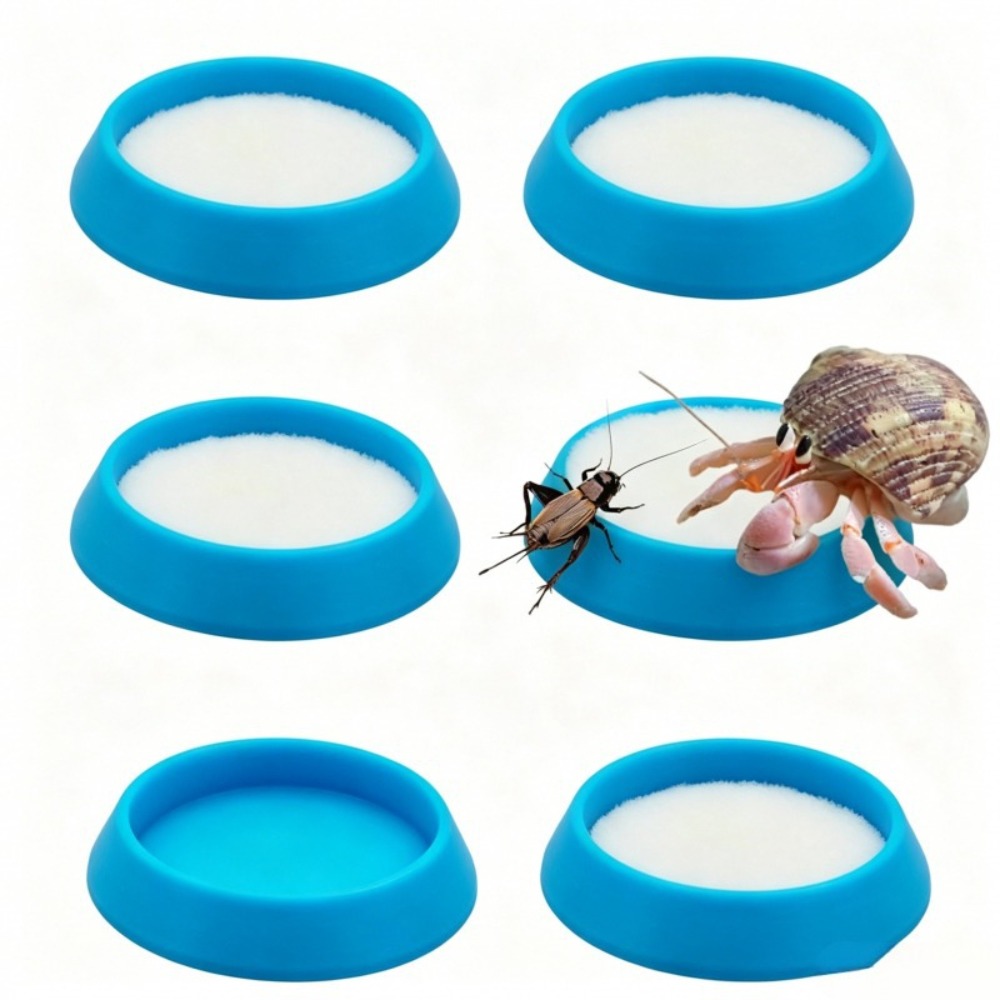 6pcs 휴대용 재사용 가능한 파충류 먹이 접시 미니  - Water Dish Reptile 리뷰 및 가격
