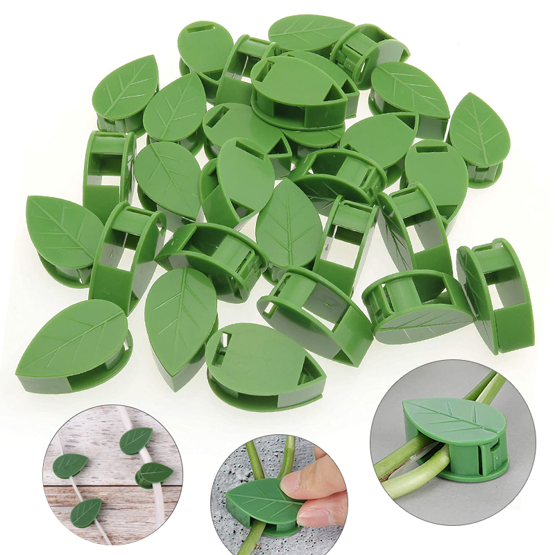 보이지 않는 식물 등반 벽 고정 장치 등나무 포도 나무 - Vine Climbing Plastic 리뷰 및 가격