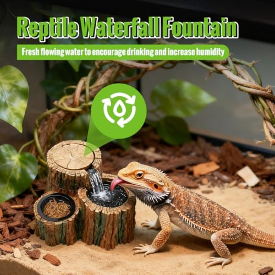 2 in 1 파충류 물 분수대(식수통 포함) 550ML - Water Dish Reptile 리뷰 및 가격