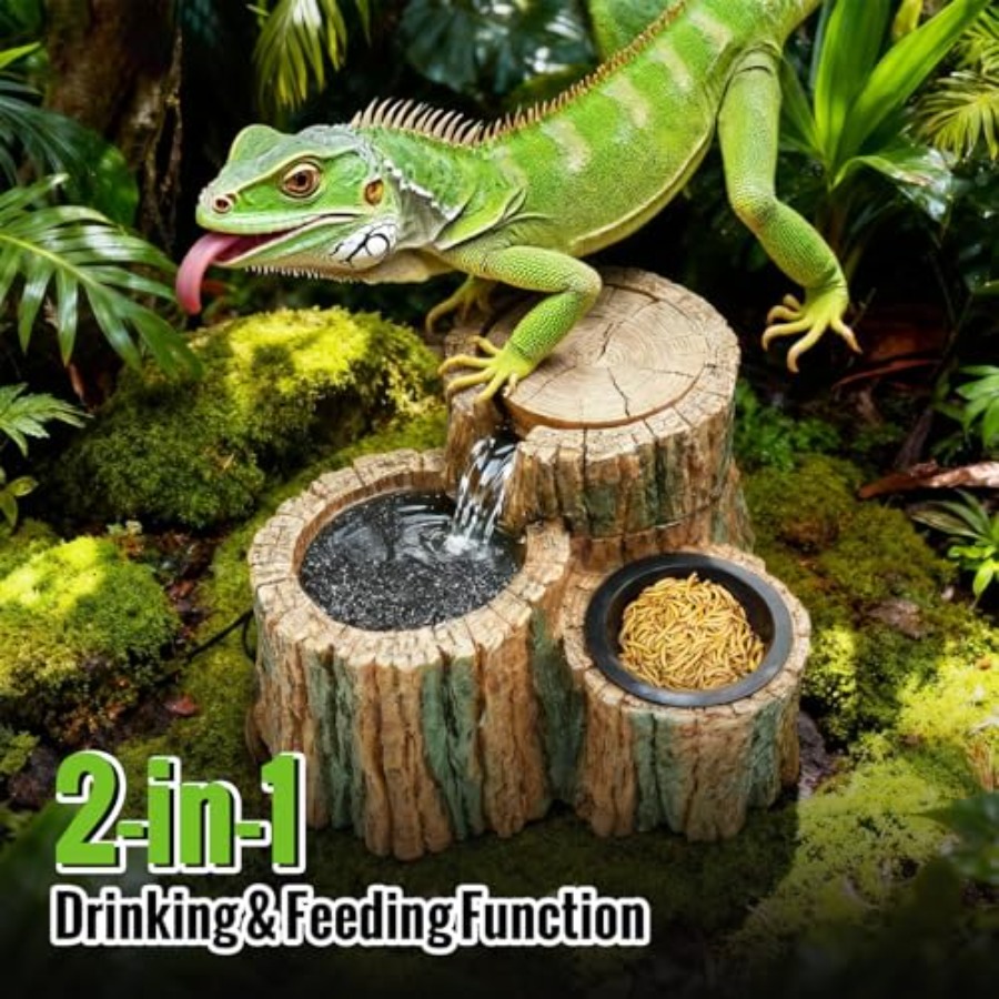 2 in 1 파충류 물 분수대(식수통 포함) 550ML - Water Dish Reptile 리뷰 및 가격
