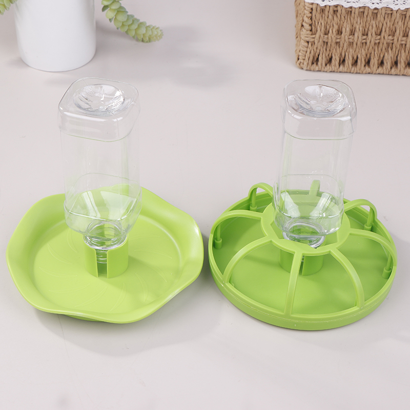 파충류 물통 급수기 사료 그릇 도마뱀 게코 먹이통 원형 - Water Dish Reptile 리뷰 및 가격