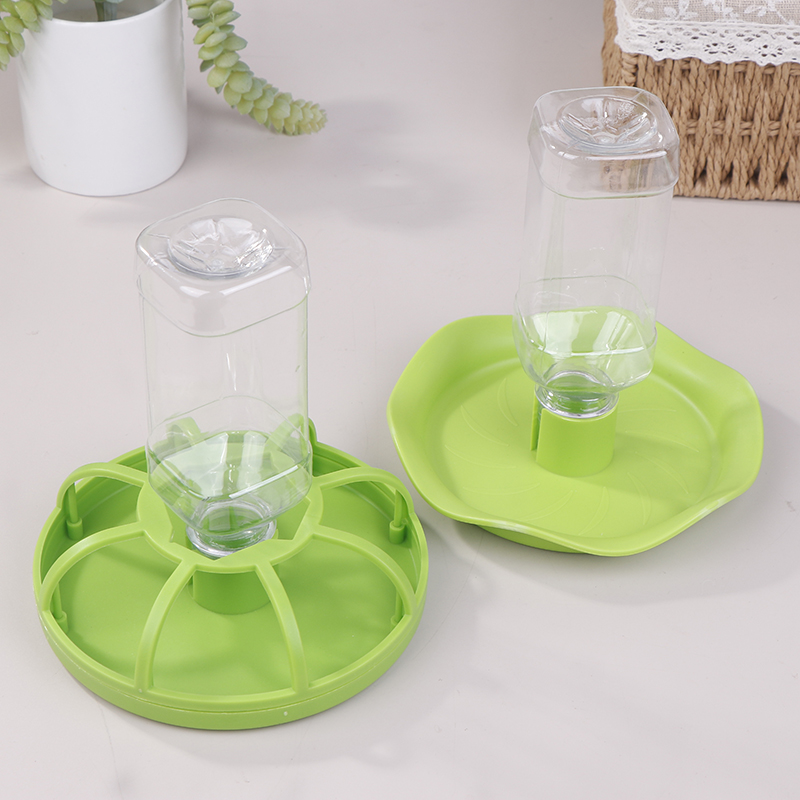 파충류 물통 급수기 사료 그릇 도마뱀 게코 먹이통 원형 - Water Dish Reptile 리뷰 및 가격